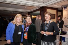 CEE_Conference_2015_©Semmelweis_Foundation