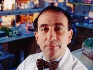 Dr. Levy Stuart